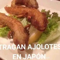 t/g