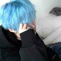 Nấm gumball •tôi_mèo_nấm_đây