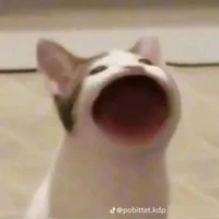 đa nhân vật