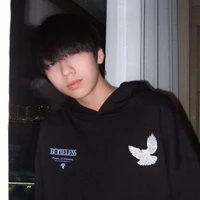 Nhiếp Vĩ Thần (Vincent)