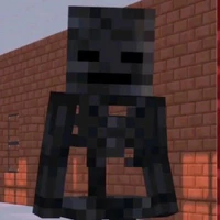 Wither (người bảo vệ của nhóc trắng)