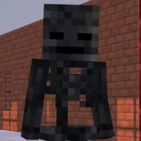 Wither (người bảo vệ của nhóc trắng)