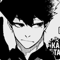 Karasu Tabito 