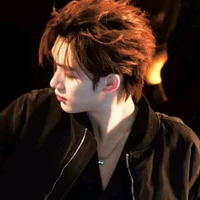 Đinh Trình Hâm/Anh Cả