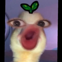 t/ g thk suy