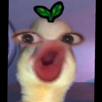 t/ g thk suy