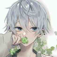 Haru 
