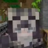 Don