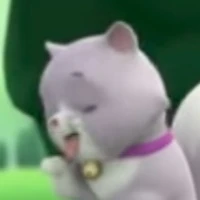 Phù thủy mèo