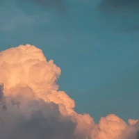 mọi người bên nam