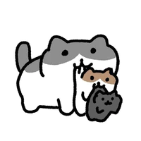 t/g mê mèo