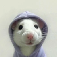 Sắp chết vì bí ý tưởng 