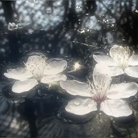 ×Nhân Vật Nam Phụ×