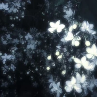 All(trừ ai thì trừ)