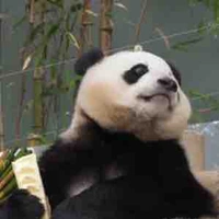 Trừ ai thì trừ// đám top//