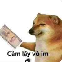 cả trường
