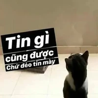 cả lớp A1