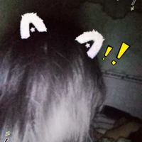 Miaa🍓_Tác giả