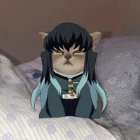 T/g xink đệp
