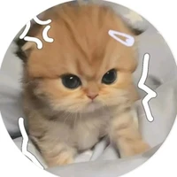 tg mê zai bỏ con:)))