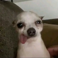 t/g