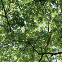 all