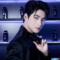 Huỳnh Hoàng Hùng-Gemini