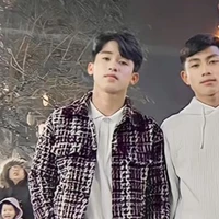 Vi Đình Thượng - Thọn