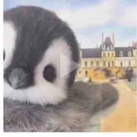 Tác giả: con lười:))
