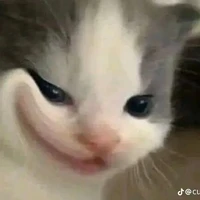 tongtai của< các bé >