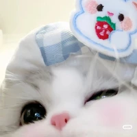 Allbot[trừ ai thì trừ]