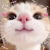 Nhóm em[trừ ai thì trừ]