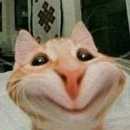 Hệ thống Rich kid