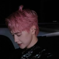 Nguyễn Thái Sơn _ trí sơn