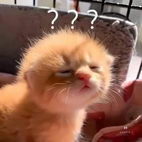 Tom