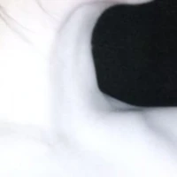 Tác giả làm biếngg.