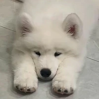 Nhân vật phụ chất lượng từ a đến z !😳