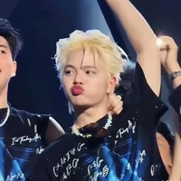 Nguyễn Quang Anh ( 10t)