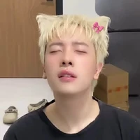 Trần Phong Hào (thỏ)