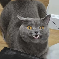 Xám tức zận 💢