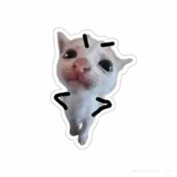 Tom