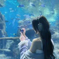 Hoàng Anh Thư