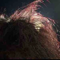 Cọng tóc của Bb