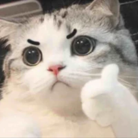 Cả lớp