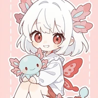 bối bối - hệ thống