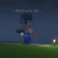 Bigshark
