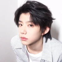 Trần Dịch Hằng 