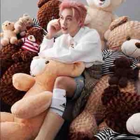 Nguyễn Thái Sơn | Mèo |