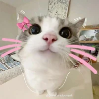 Tác giả zui zẻ không quạo:))