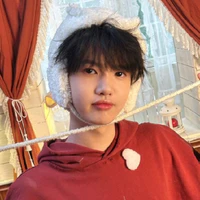 Nhiên hảo soái